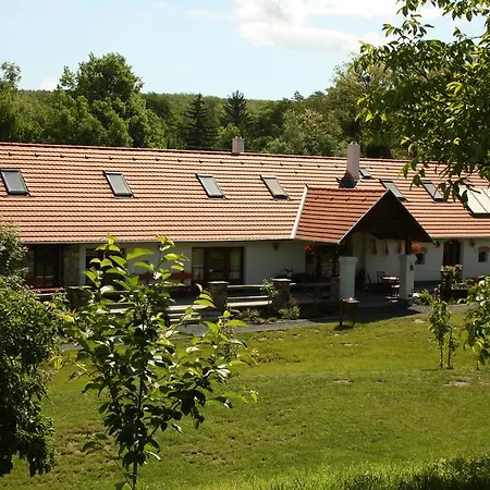 Vadlány